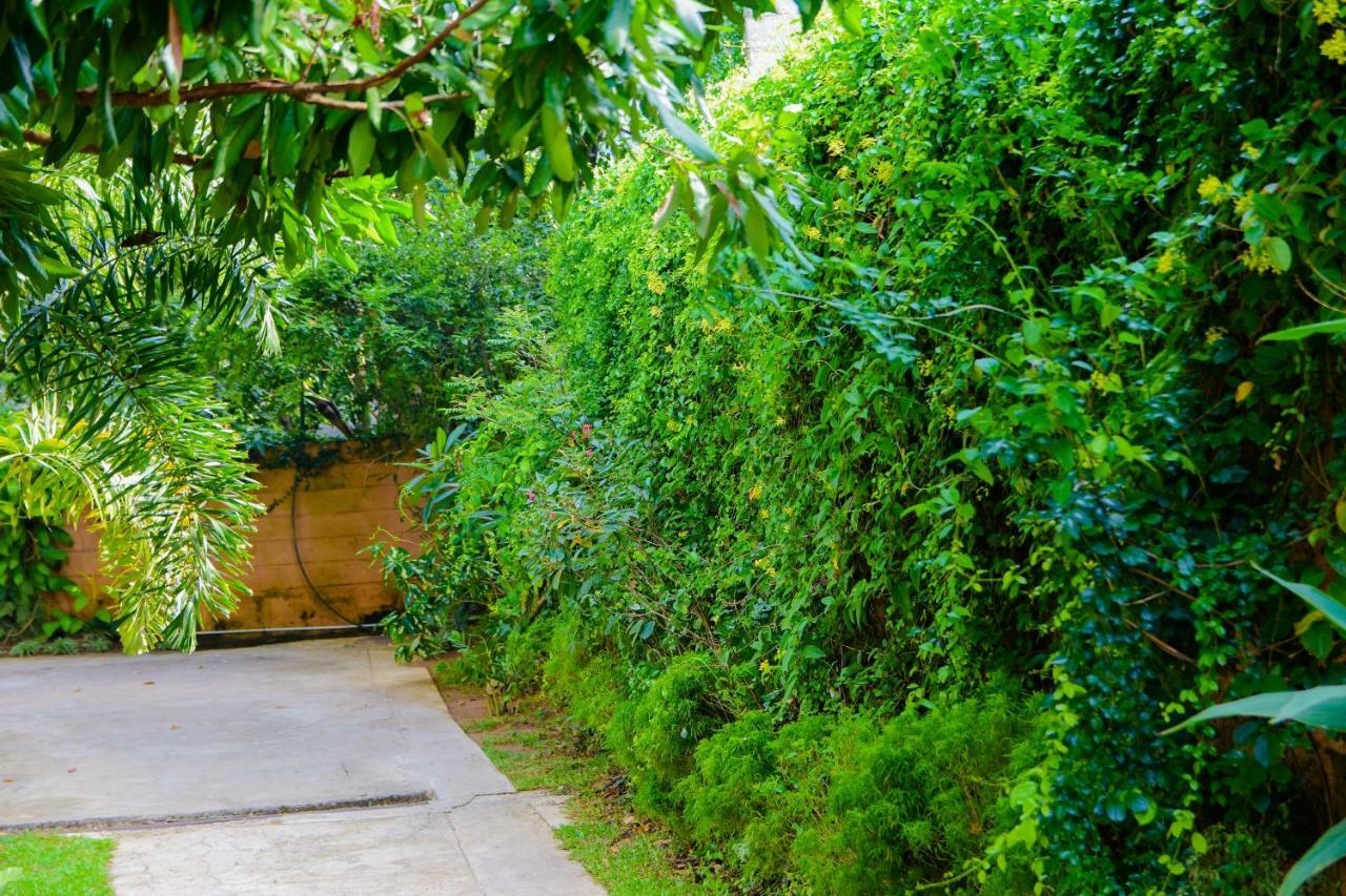 Homestay Garden Rest Kandy Exterior photo