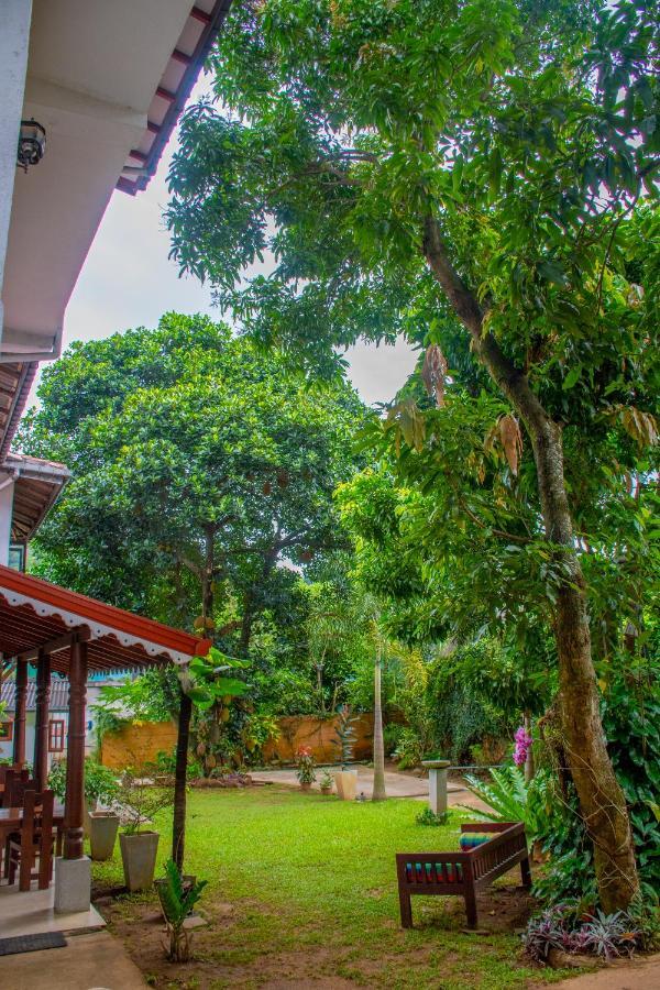 Homestay Garden Rest Kandy Exterior photo