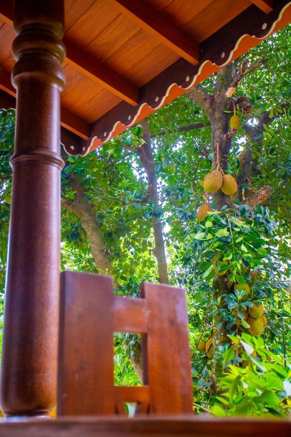 Homestay Garden Rest Kandy Exterior photo